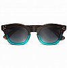 Очки 66S Capri-Hornwood Sun EE
